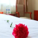 Greentree Inn Shanghai Pudong Airport Huaxia East Road Railway Station Shell Hotel