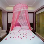 Vienna Hotel Shanghai Pudong Jinqiao Park