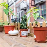 Cozy Apartment Best Location 6134