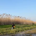 格格巫