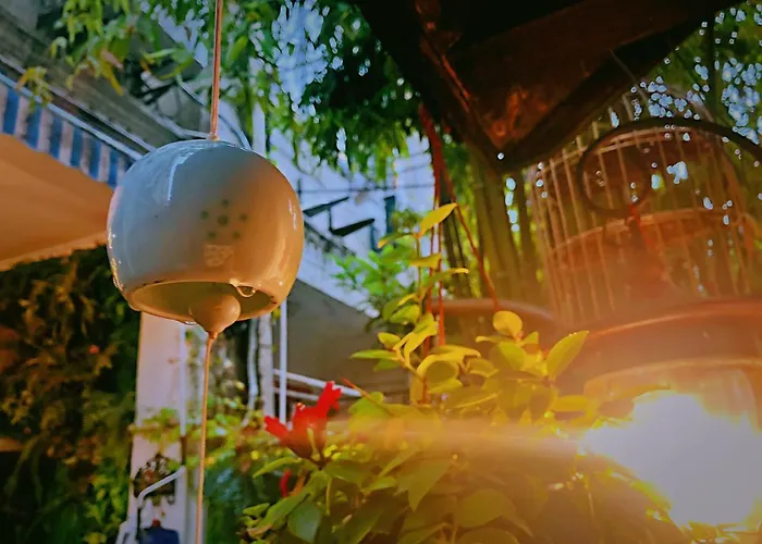 Panda International Hostel