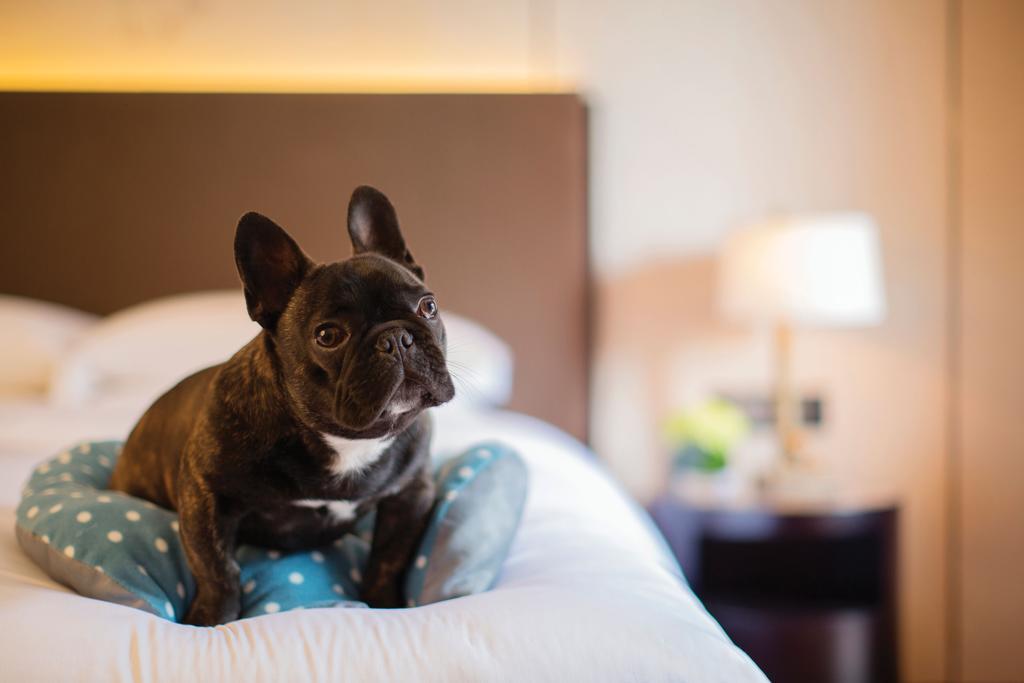 Hyatt Regency Hotel Chongming