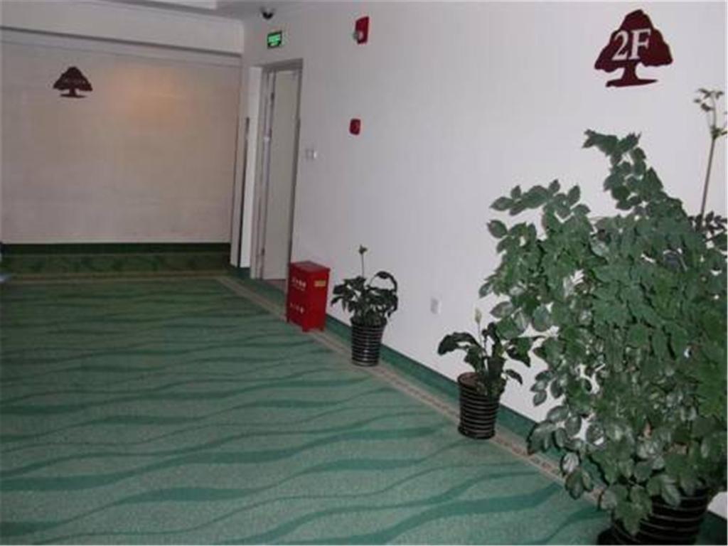 Greentree Century Park Business 3* Shanghai