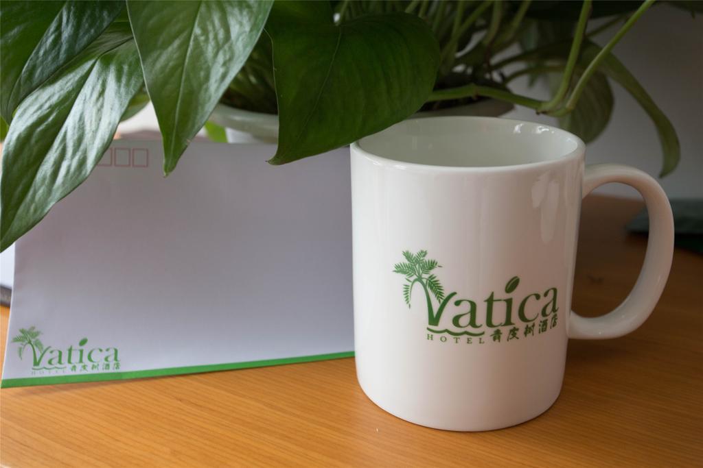 Vatica Jiading District Anting Metro Station Moyu Road 3* Shanghai