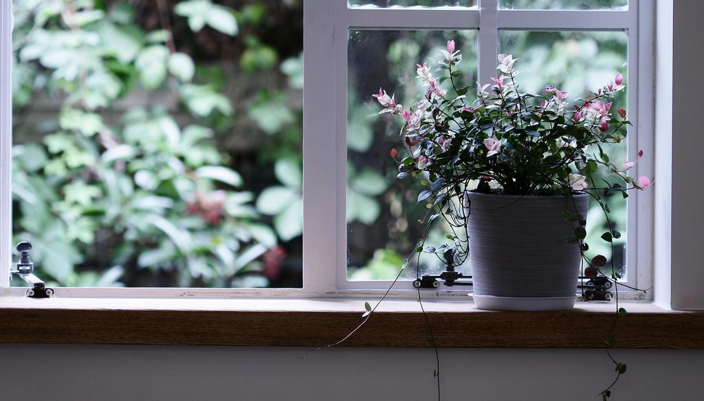 Wukang Road Quiet Apartamento *