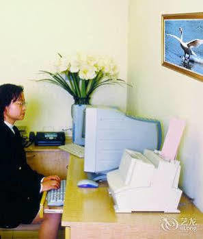 Radius International Swan Xangai