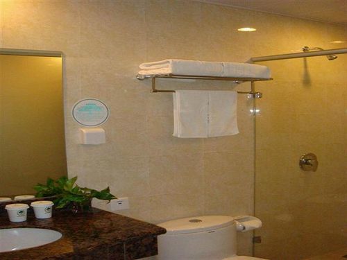 Hotel Greentree Longwu Road Express 2*
