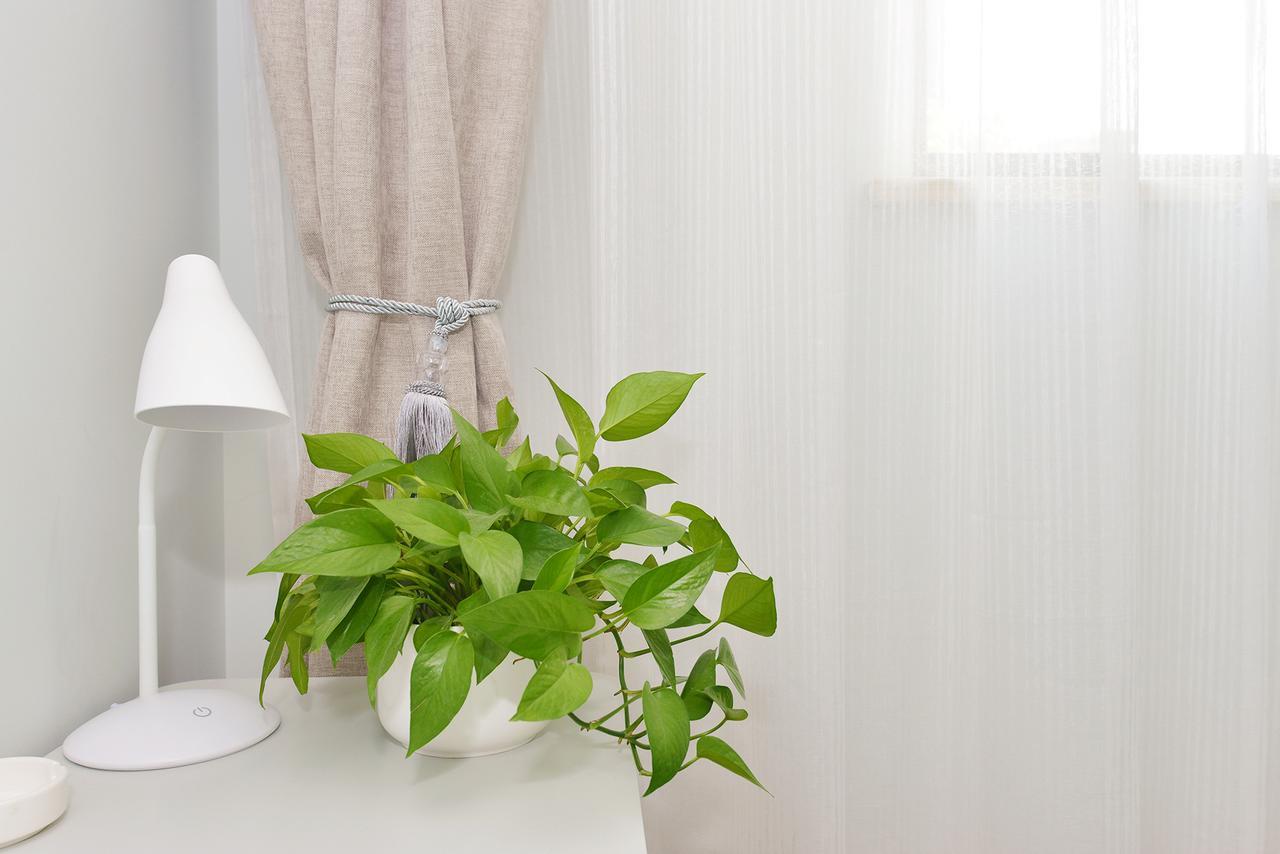 Hotel Wanting Boutique 2*