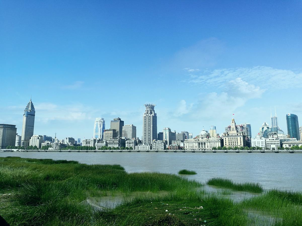 Wanina's Skyline Daire