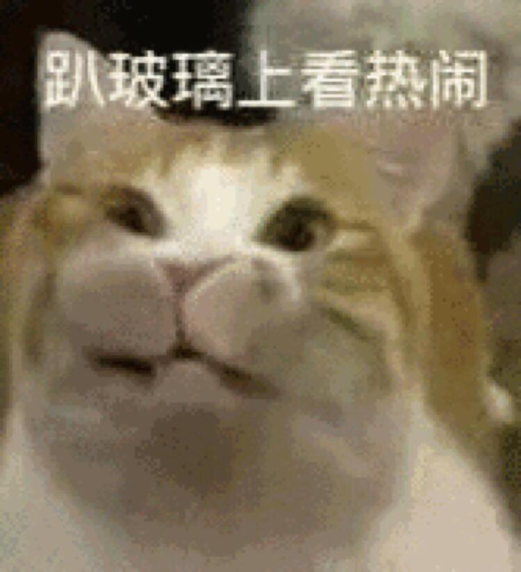 格格巫 Shanghai