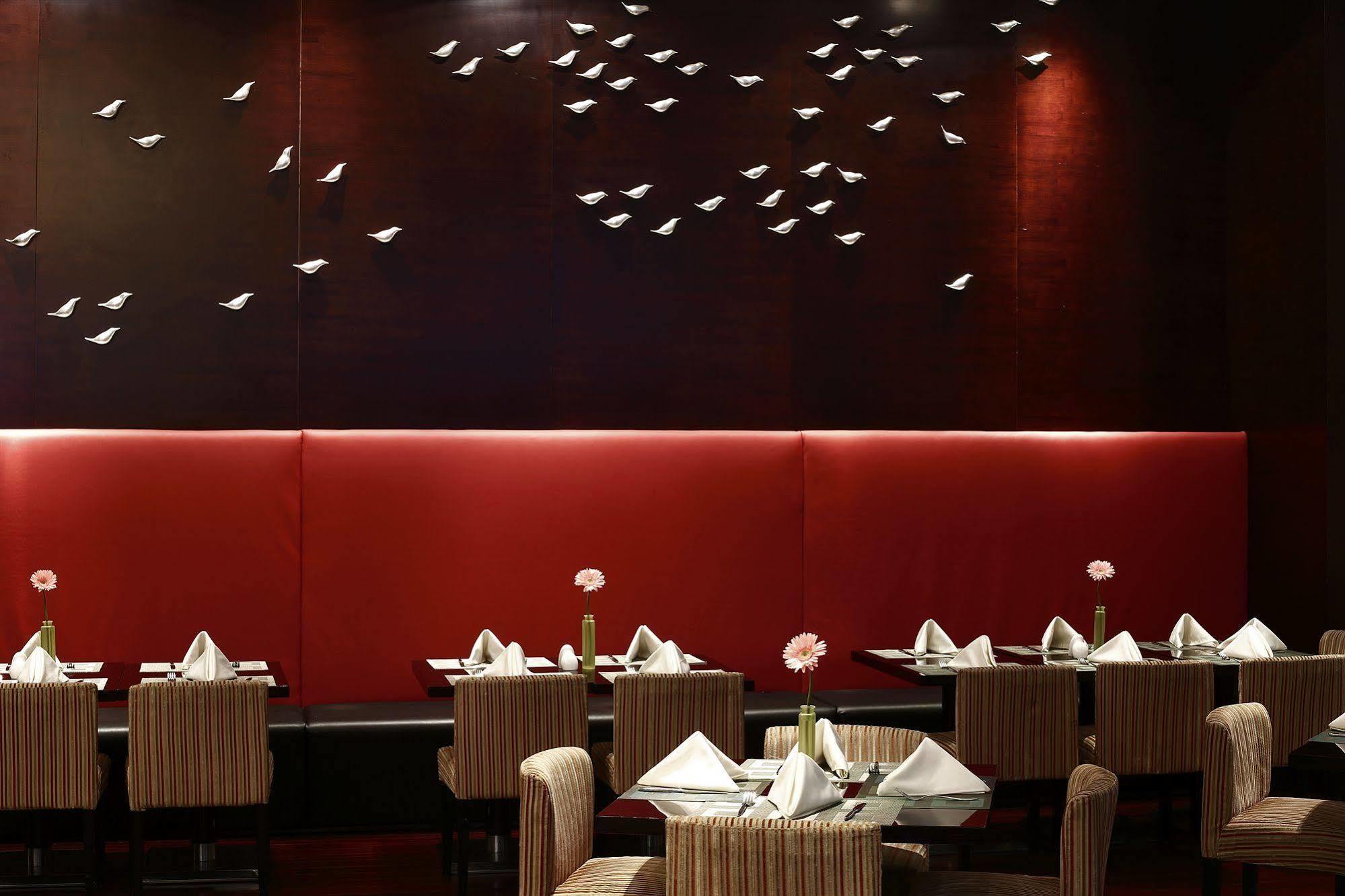 Hotel The Qube -close To Pudong International Airport And Disney Land