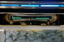 Motel 168 Shanghai Pudong South Road Hotel 2*
