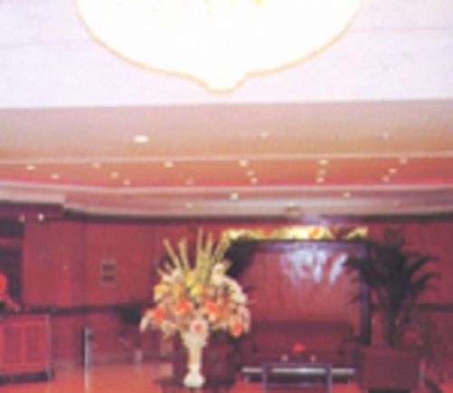 Gino Business Hotel 3*