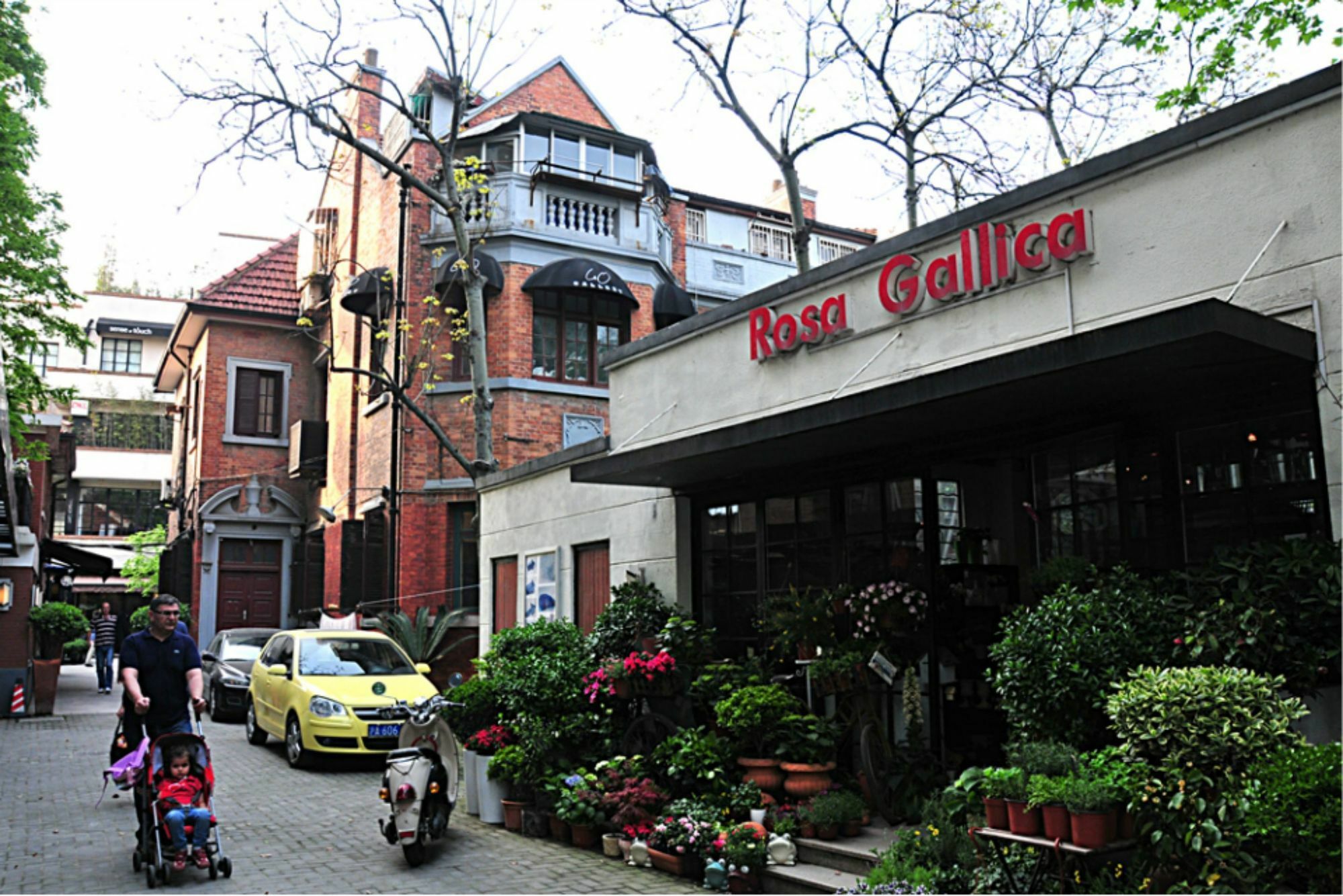 Wonderland French Concession Wukang Road Şanghay