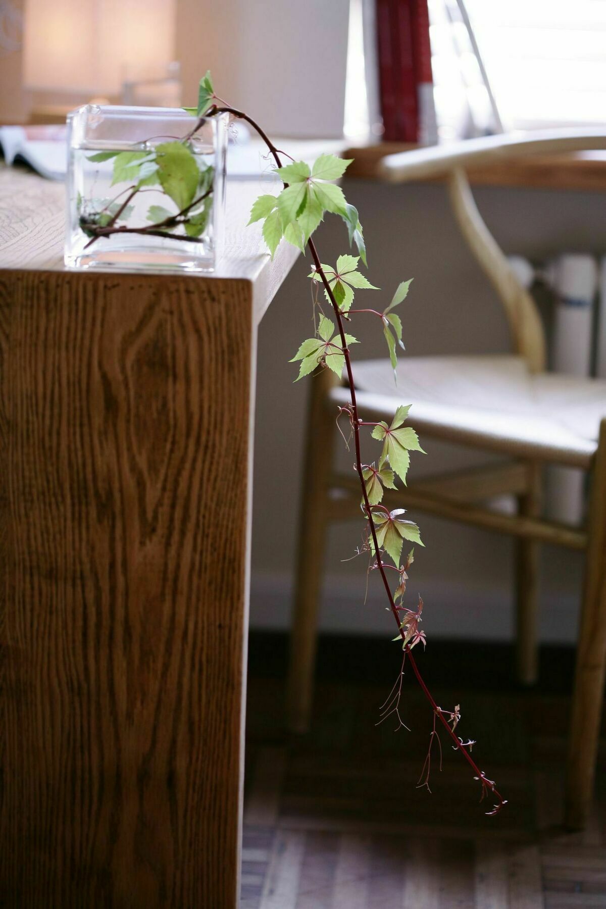 Wonderland French Concession Wukang Road Apartment Shanghai