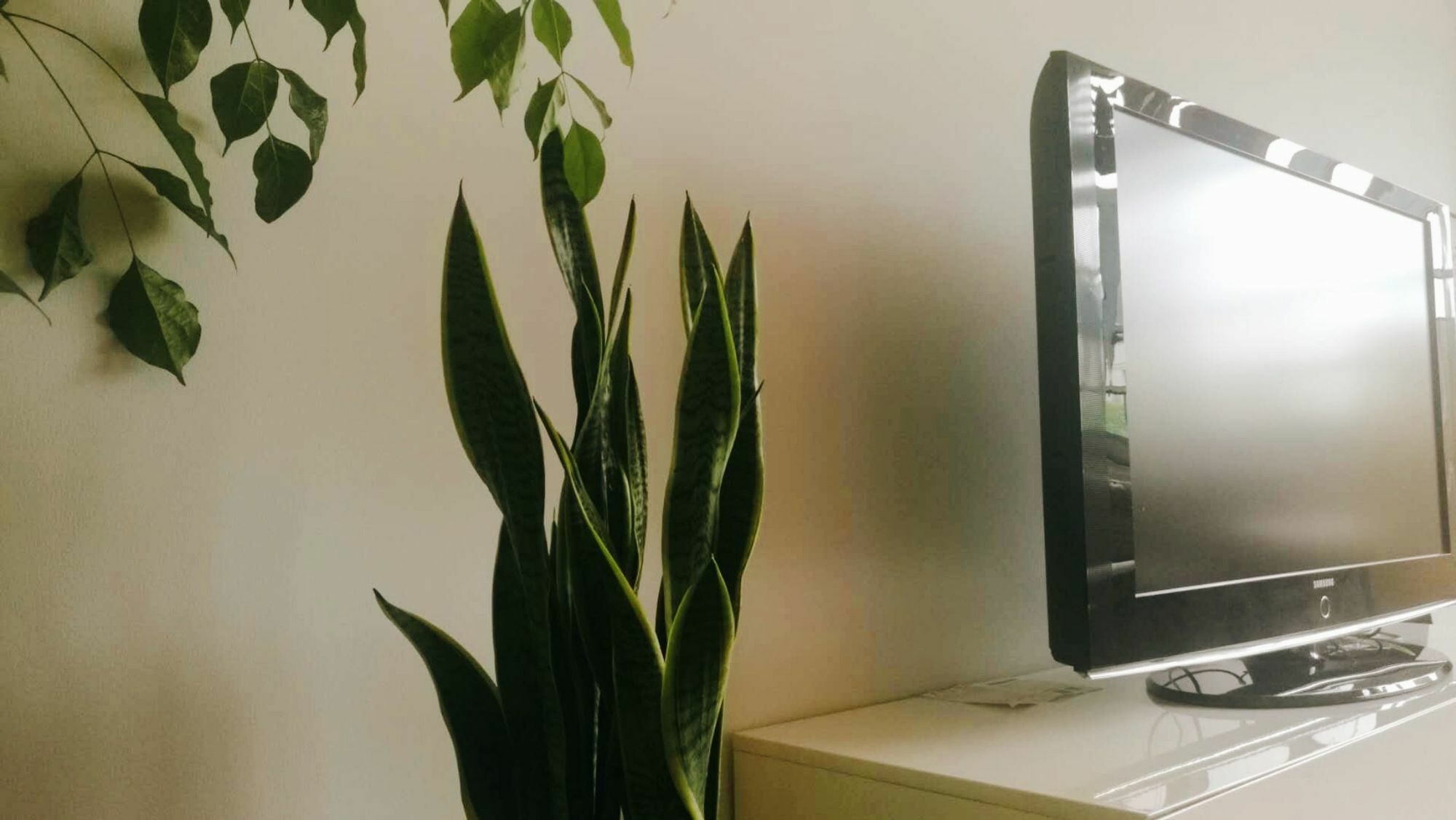 Apartamento Wonderland Fcc Huaihai Mansion Shanghái