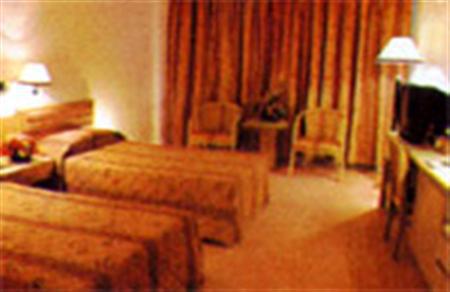 Hotel Radius International Swan 3*