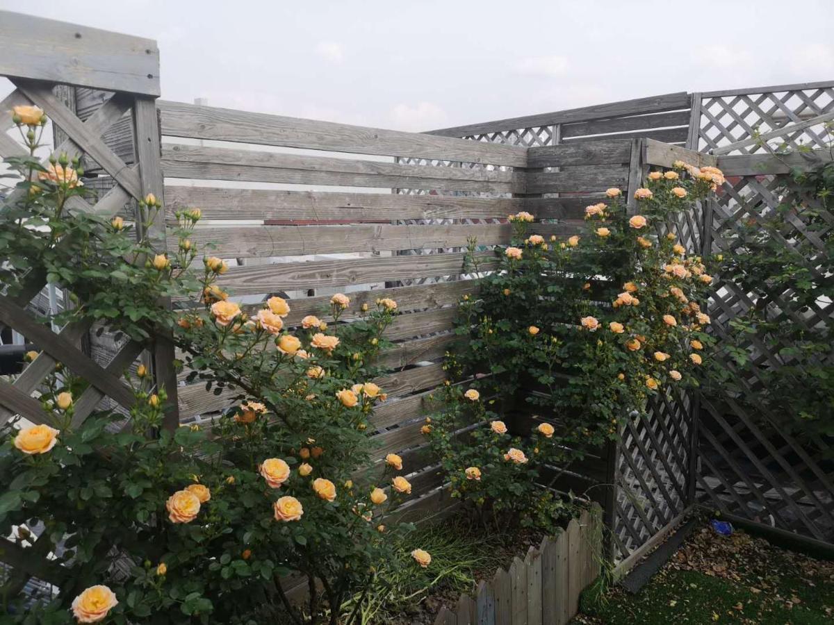 Lanshan Youth Hostel