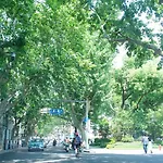 Fanhua Life In Nanjing West Road Store 2
