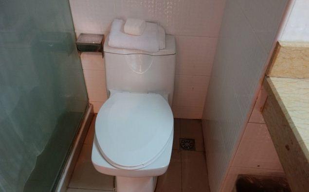 Hotel Jinjiang - Shanghai Town