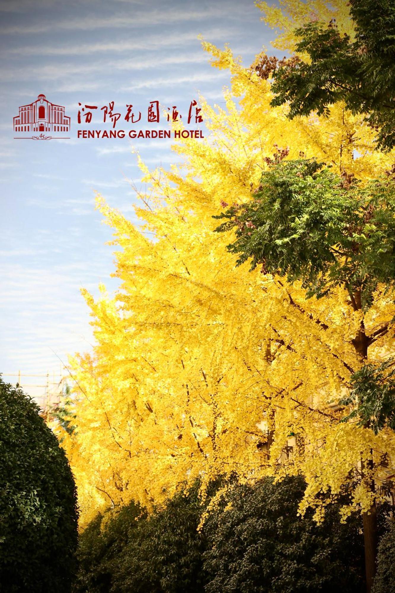 Fenyang Garden Boutique