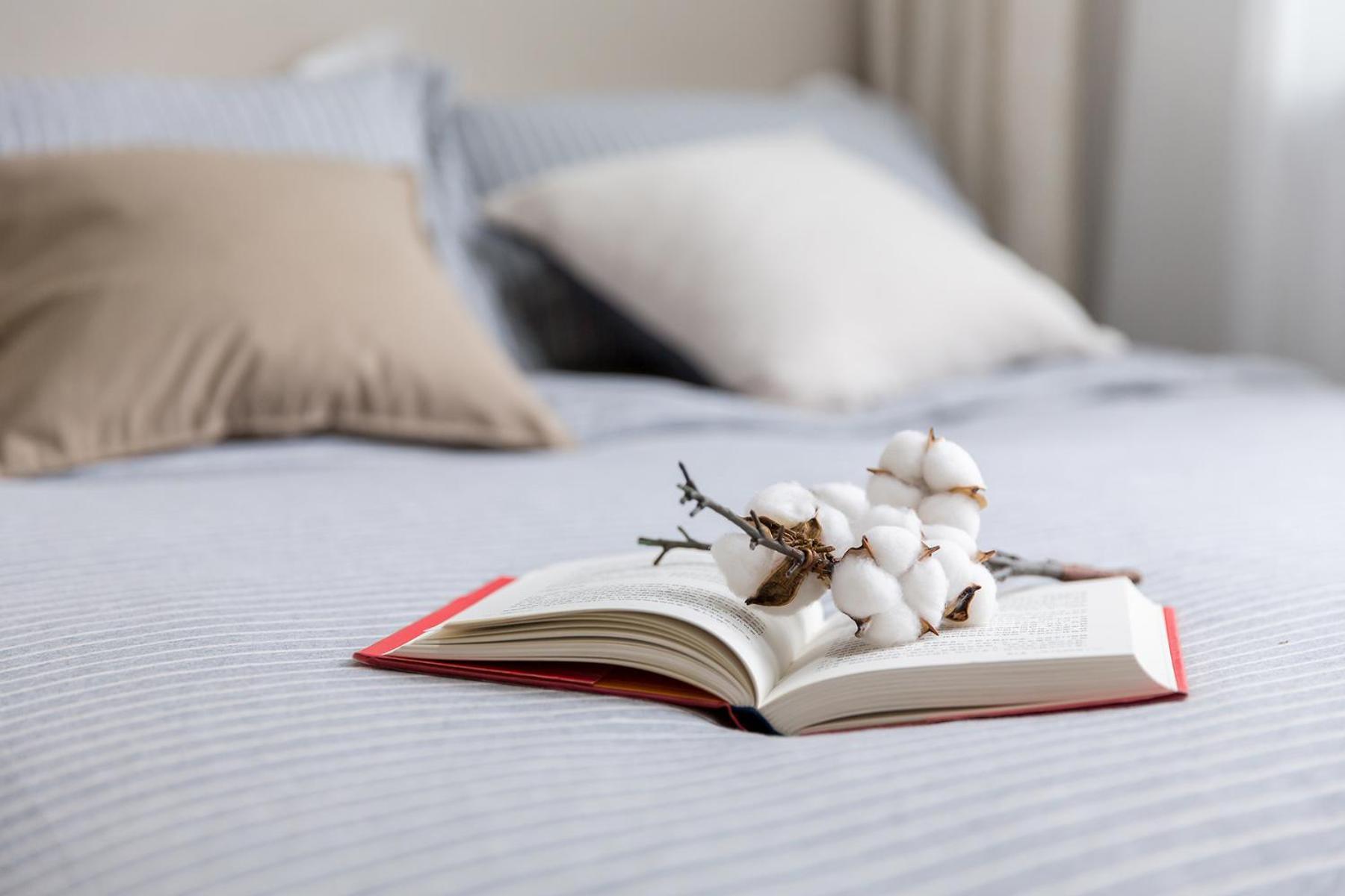 Book And Bed-people's Square Apartment Shanghai
