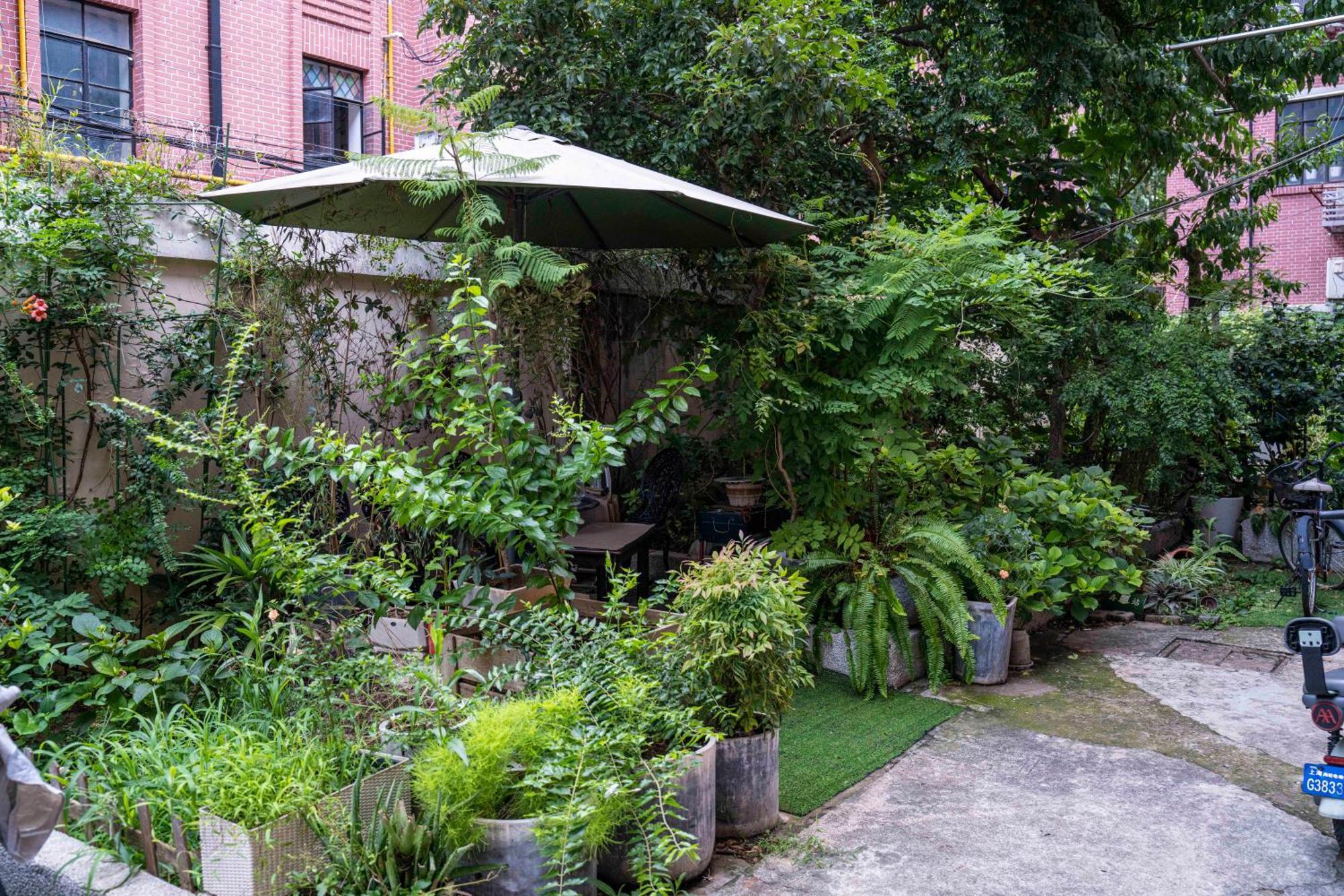 Apartment Book And Bed - Xujiahui *
