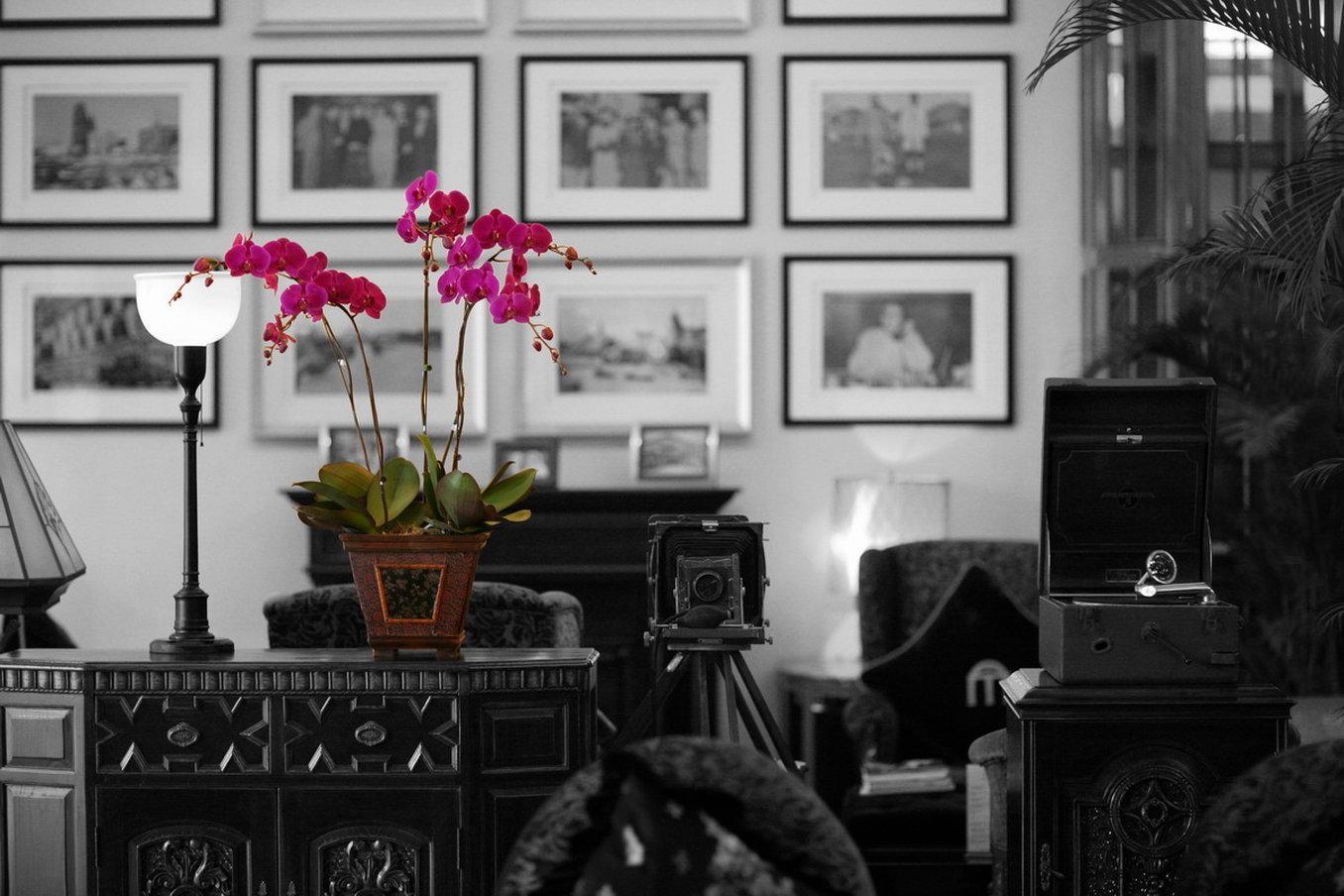 Hotel Mansion Shanghai