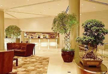 Hotel Jin Jiang Galaxy 4*