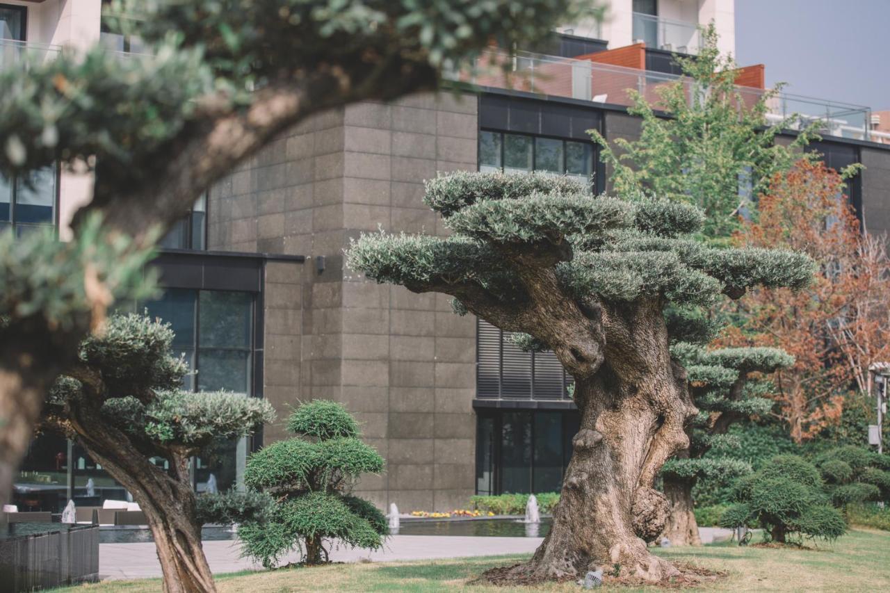 The Anandi And - Luxury Healing For Wellbeing Shanghai