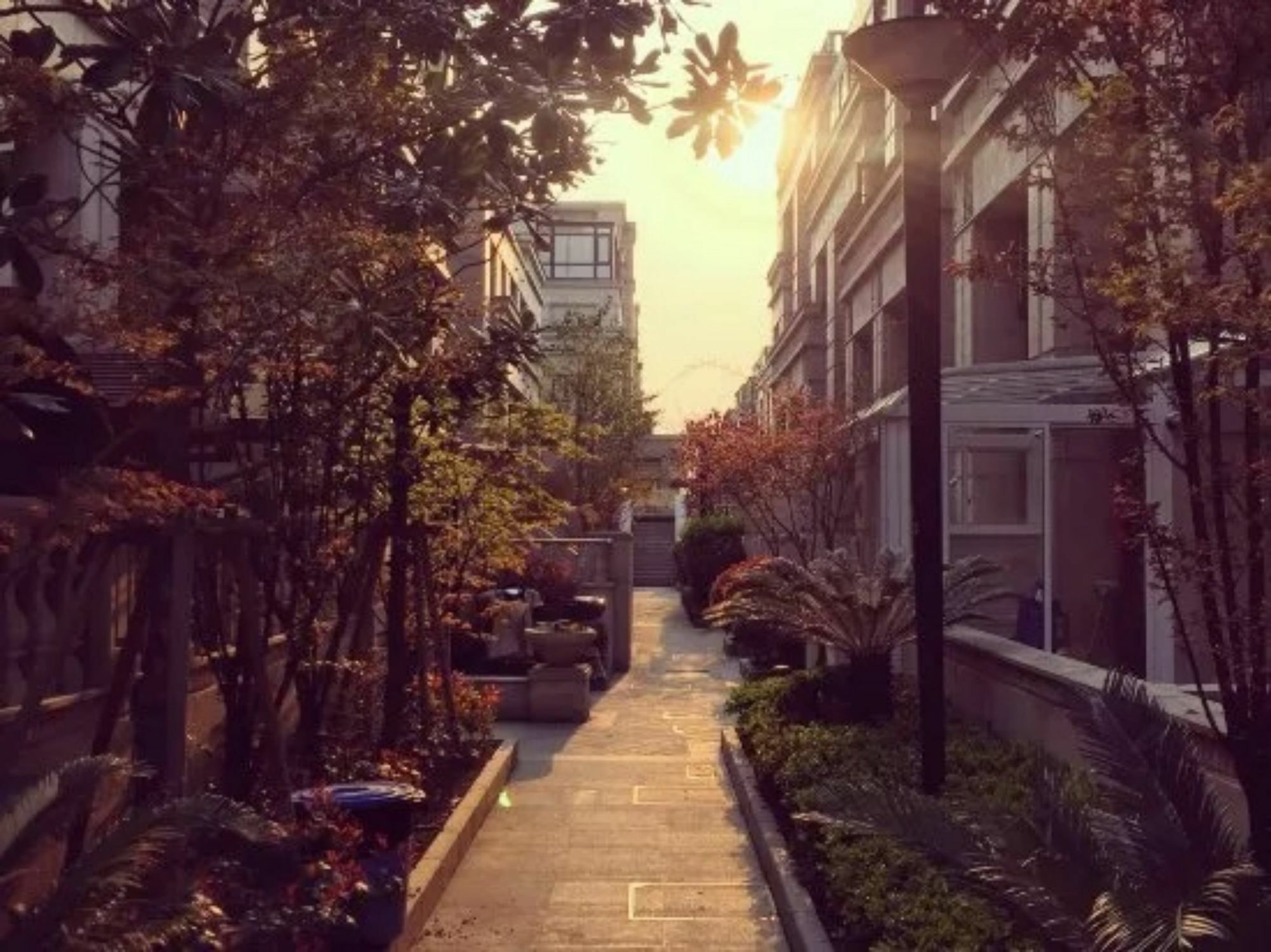 Jheim * Shanghai