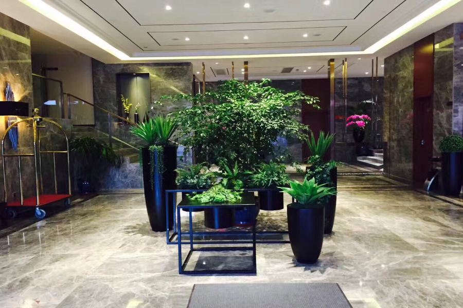Yitel Hongqiao Hub Linkong Zone Hotel Shanghai