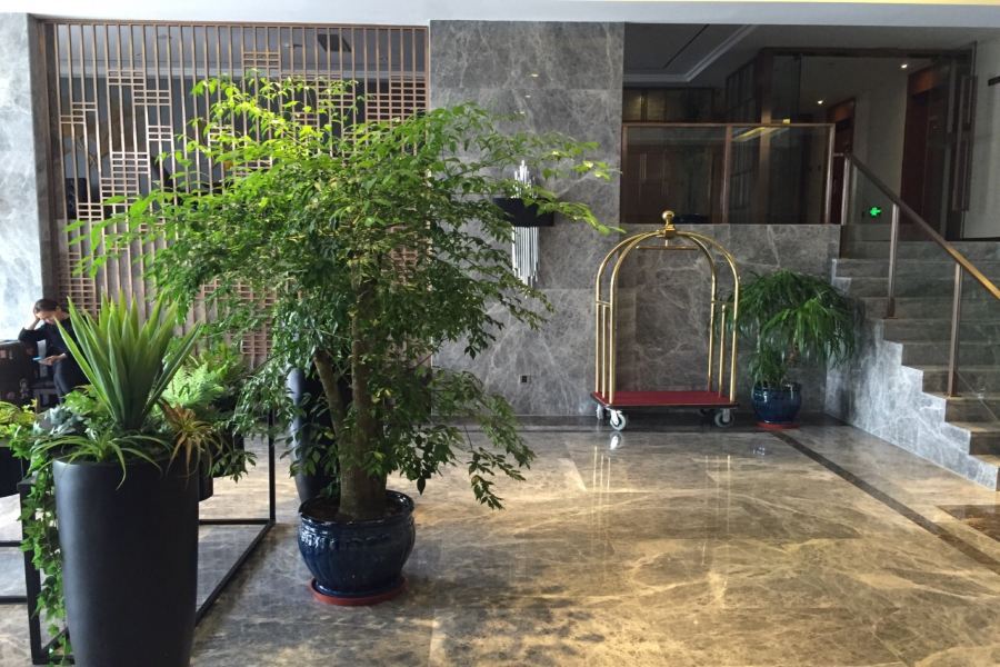 Hotel Yitel Hongqiao Hub Linkong Zone Shanghai