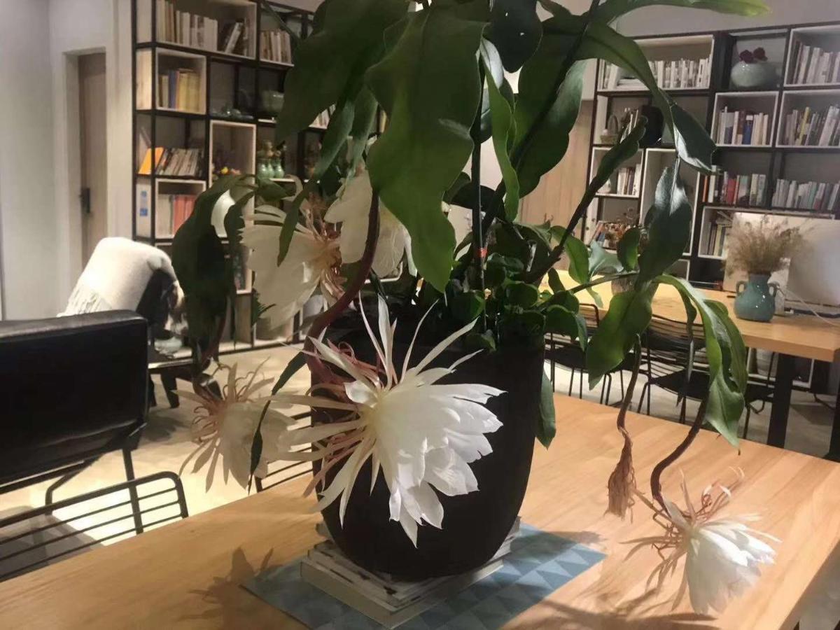 Hotel Urban Rosa Cafe&inn 3*